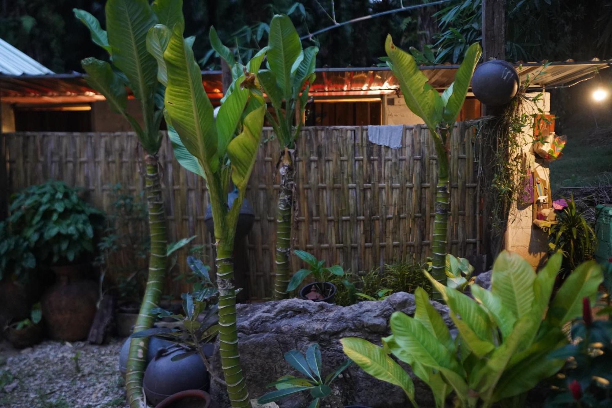 Krabi Bamboo Kingdom At Aoluek Paradise Ao Luk Exterior foto